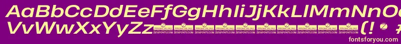 HeadingProWideBoldItalicTrial Font – Yellow Fonts on Purple Background