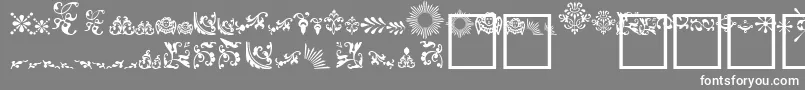 Fleur Font – White Fonts on Gray Background