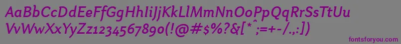 OtariMediumitalic Font – Purple Fonts on Gray Background