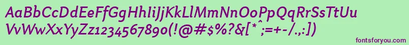 OtariMediumitalic Font – Purple Fonts on Green Background