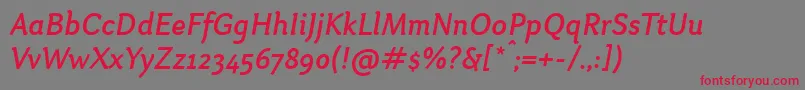 OtariMediumitalic-Schriftart – Rote Schriften auf grauem Hintergrund