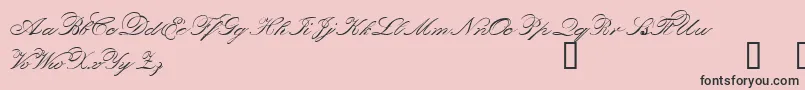Orphd Font – Black Fonts on Pink Background
