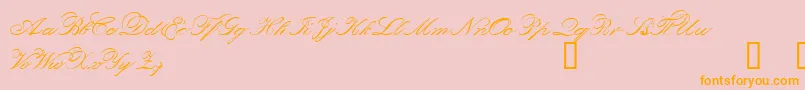 Orphd Font – Orange Fonts on Pink Background