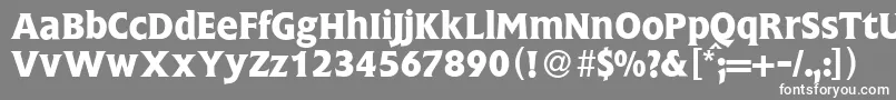 FlemingBold Font – White Fonts on Gray Background
