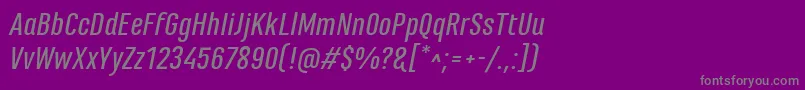MarianinaFyMediumItalic Font – Gray Fonts on Purple Background