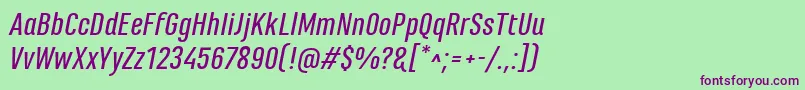 MarianinaFyMediumItalic Font – Purple Fonts on Green Background