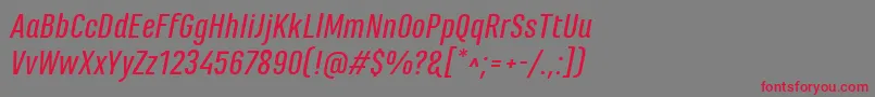MarianinaFyMediumItalic Font – Red Fonts on Gray Background