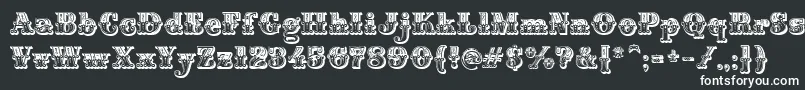 MontiDecorA Font – White Fonts