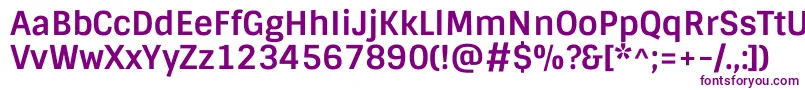 SintonyBold Font – Purple Fonts on White Background