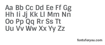 SintonyBold Font