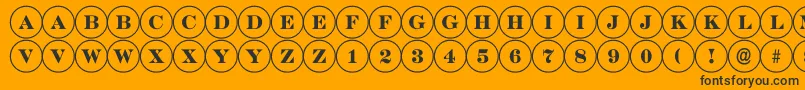 DiscoserifRegular Font – Black Fonts on Orange Background