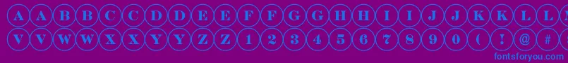 DiscoserifRegular-Schriftart – Blaue Schriften auf violettem Hintergrund