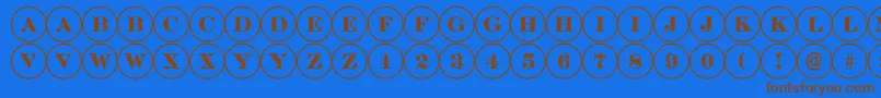 DiscoserifRegular Font – Brown Fonts on Blue Background