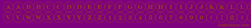 Шрифт DiscoserifRegular – коричневые шрифты на фиолетовом фоне