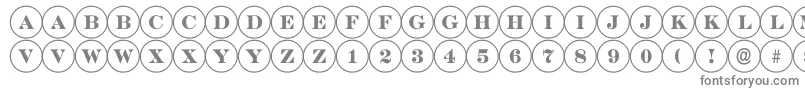 DiscoserifRegular Font – Gray Fonts