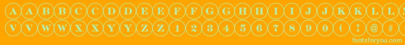 DiscoserifRegular Font – Green Fonts on Orange Background