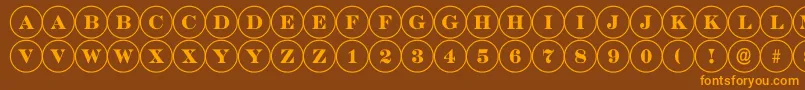 DiscoserifRegular Font – Orange Fonts on Brown Background