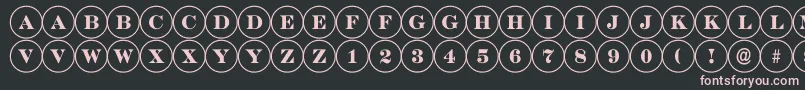 フォントDiscoserifRegular – 黒い背景にピンクのフォント