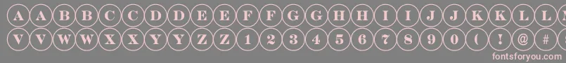 フォントDiscoserifRegular – 灰色の背景にピンクのフォント