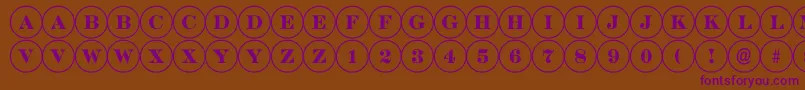 DiscoserifRegular Font – Purple Fonts on Brown Background