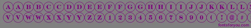 フォントDiscoserifRegular – 紫色のフォント、灰色の背景