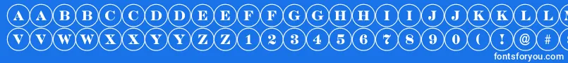 DiscoserifRegular Font – White Fonts on Blue Background