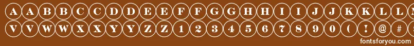 DiscoserifRegular Font – White Fonts on Brown Background