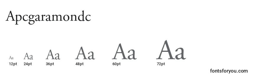 Größen der Schriftart Apcgaramondc