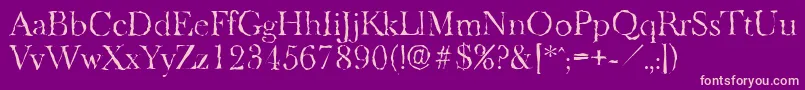BaskeroldrandomLightRegular Font – Pink Fonts on Purple Background
