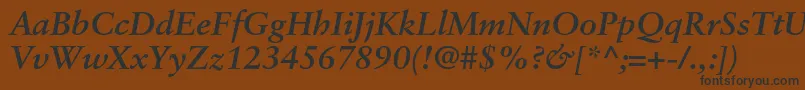 SabonltstdBolditalic Font – Black Fonts on Brown Background