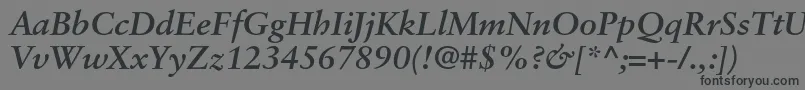 SabonltstdBolditalic Font – Black Fonts on Gray Background