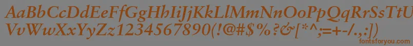 SabonltstdBolditalic Font – Brown Fonts on Gray Background