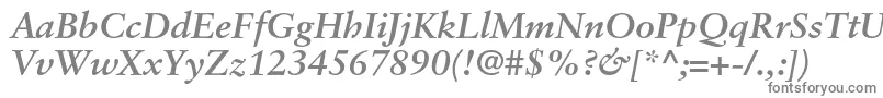 SabonltstdBolditalic Font – Gray Fonts on White Background