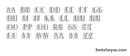 Review of the Remesloc Font
