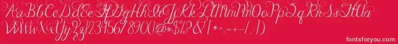 Jandacelebrationscript-Schriftart – Rosa Schriften auf rotem Hintergrund