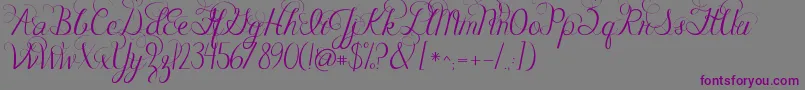 フォントJandacelebrationscript – 紫色のフォント、灰色の背景