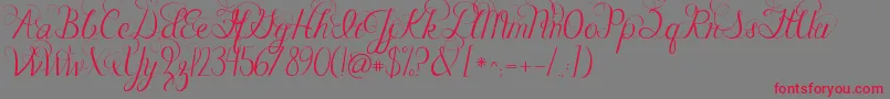 Jandacelebrationscript Font – Red Fonts on Gray Background
