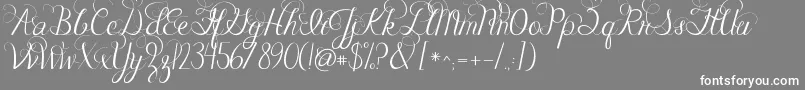 フォントJandacelebrationscript – 灰色の背景に白い文字