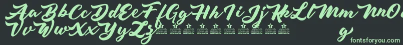 LivingColoursPersonalUse Font – Green Fonts on Black Background