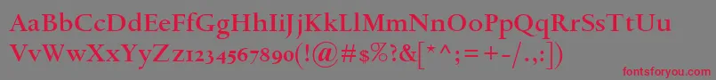 フォントSpectrumMtOsfSemibold – 赤い文字の灰色の背景