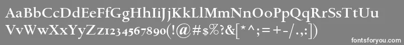 SpectrumMtOsfSemibold Font – White Fonts on Gray Background