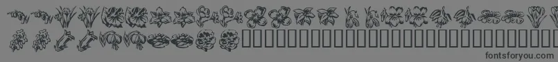 フォントKrBeautifulFlowers2 – 黒い文字の灰色の背景