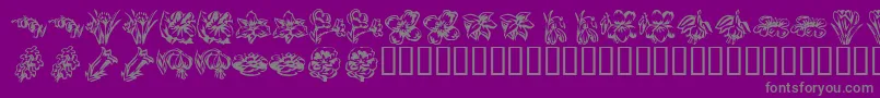 KrBeautifulFlowers2 Font – Gray Fonts on Purple Background