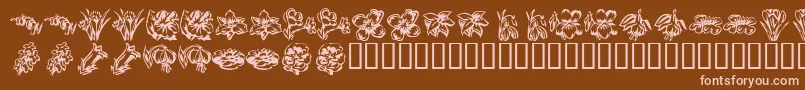 KrBeautifulFlowers2 Font – Pink Fonts on Brown Background