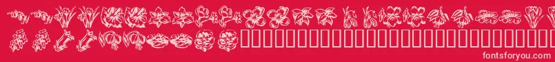 KrBeautifulFlowers2 Font – Pink Fonts on Red Background