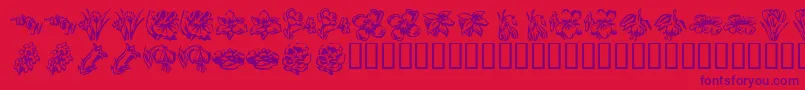 KrBeautifulFlowers2-Schriftart – Violette Schriften auf rotem Hintergrund