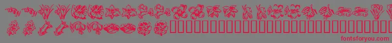 Шрифт KrBeautifulFlowers2 – красные шрифты на сером фоне