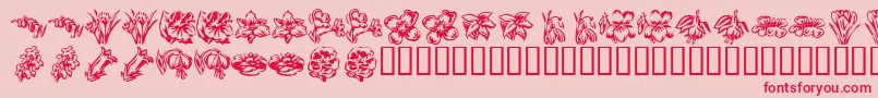 KrBeautifulFlowers2-Schriftart – Rote Schriften auf rosa Hintergrund