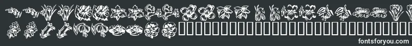 フォントKrBeautifulFlowers2 – 黒い背景に白い文字