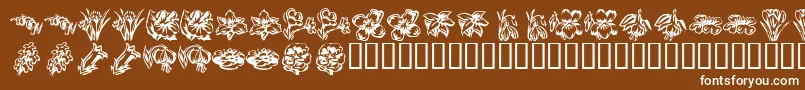 KrBeautifulFlowers2 Font – White Fonts on Brown Background